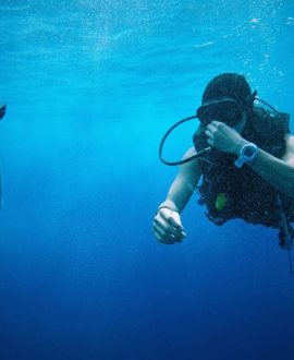 Submarinismo
