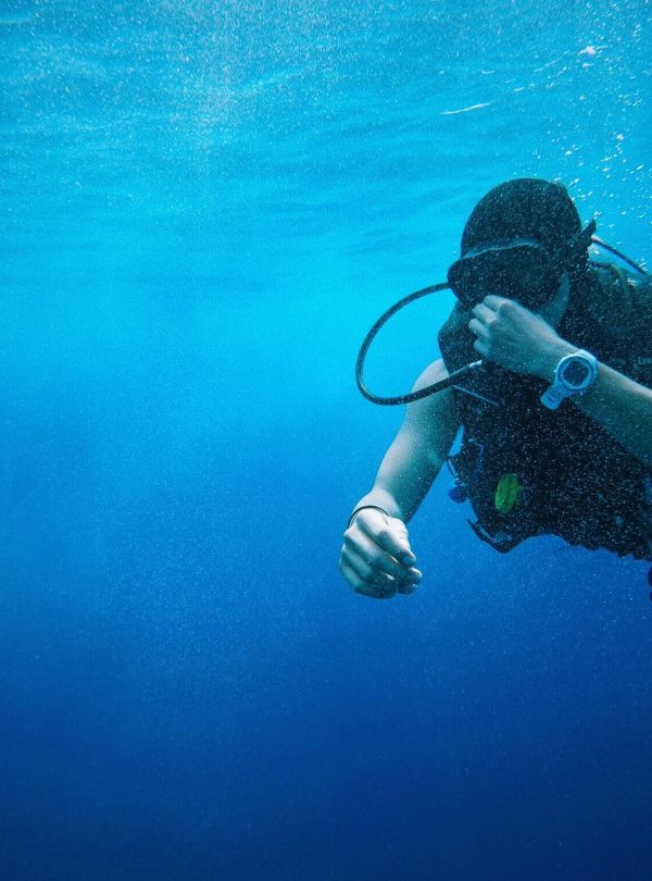 sea-ocean-recreation-diving-underwater-biology-76680-pxhere.com-1